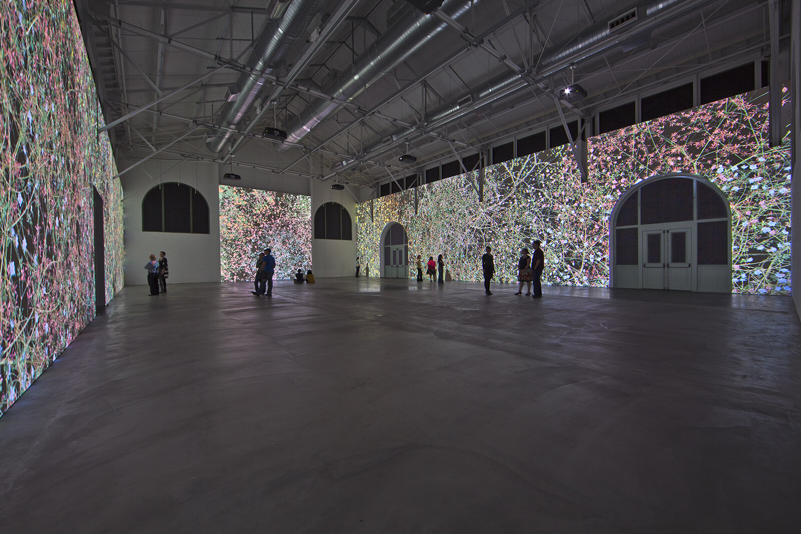 Madame Curie, 2011, Installation at Museum of Contemporary Art San Diego, CA, 2011 and 2017, Jennifer Steinkamp | Jennifer Steinkamp | STIRworld