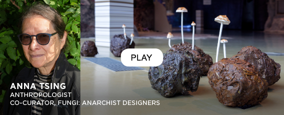 Anna Tsing on FUNGI Anarchist Designers at Het Nieuwe Instituut