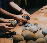 Heiter X grows sustainable culinary landscapes at LDF 2023
