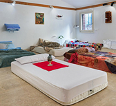 A plus A gallery examines class difference through 'Hôtel-Dieu'