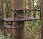‘Tree-ism’ by Basse Stittgen: a story of eco-conscious design
