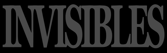 STIRfri - INVISIBLES