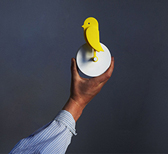 Birdie® emulates the 'canary in the coal mine' to monitor indoor air quality