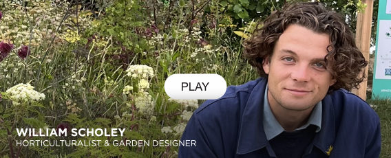 Will Scholey on the intimate art of garden design