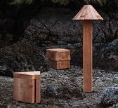 Ancient stewardship and tree sap bind Salvage and Sap by Earth to People