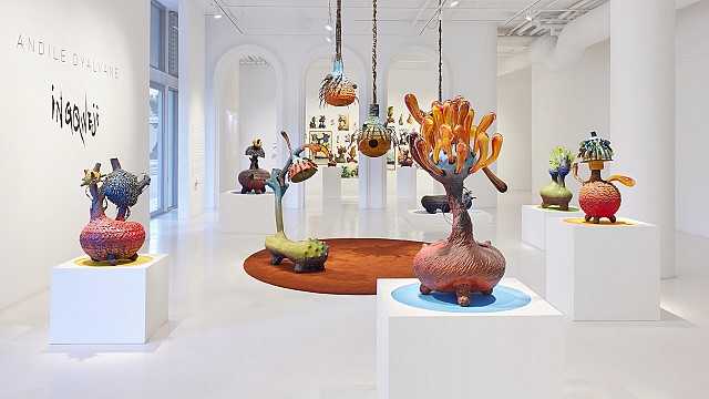 Andile Dyalvane's iNgqweji explores nature's communal structures at Southern Guild
