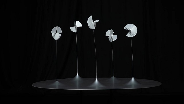 Susumu Shingu: Sculpting with Wind