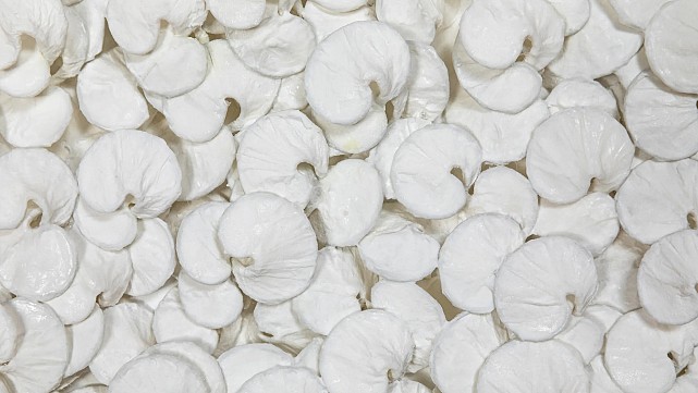 Panta Rhei: Everything Flows, Works by five artists on Japanese Washi paper
