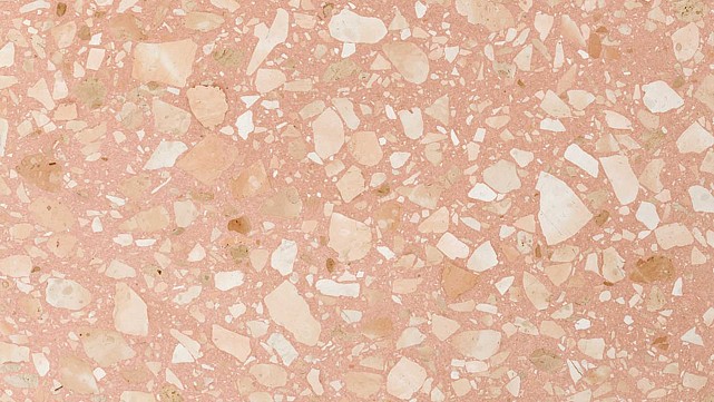 Pink Pampas