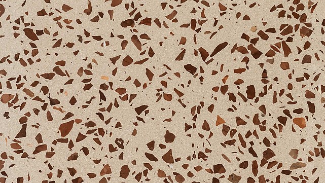 Lentil