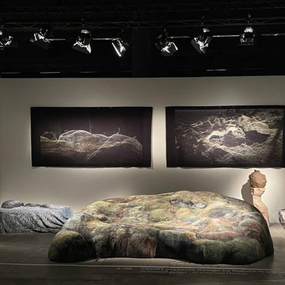 Front and Moroso explore the theme of wilderness with Design by Nature