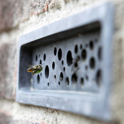 Green & Blue studio design home for bees within brick walls