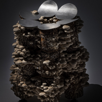 Satoshi Itasaka stacks mushrooms to build organic stools