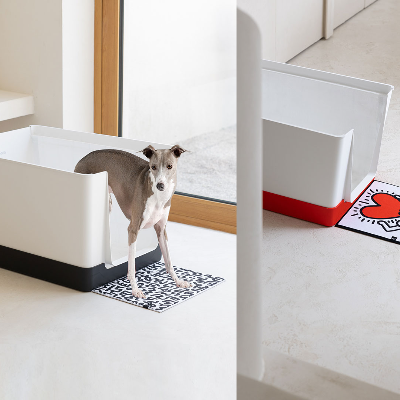 Alain Courchesne explores product design for pets blending playfulness and practicality
