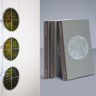 From seaweed light to recipes, We+ reconstructs design perspectives