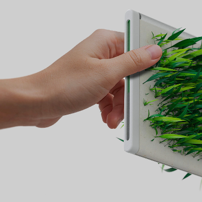 &lsquo;Square Greens&rsquo; by SEVE makes growing food in kitchens sustainable and effortless