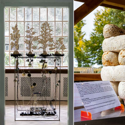 BioArt Laboratories synergises science, art, and nature to shape a sustainable future