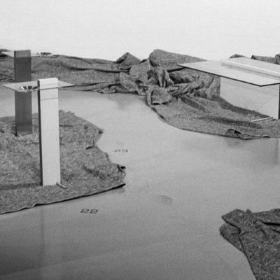 Amelia Stevens' quiet annotations in the 'Species of Tables and Other Pieces'