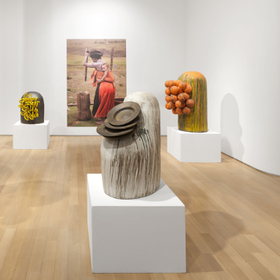 iMbewu by Zizipho Poswa celebrates South African cultural stewardship