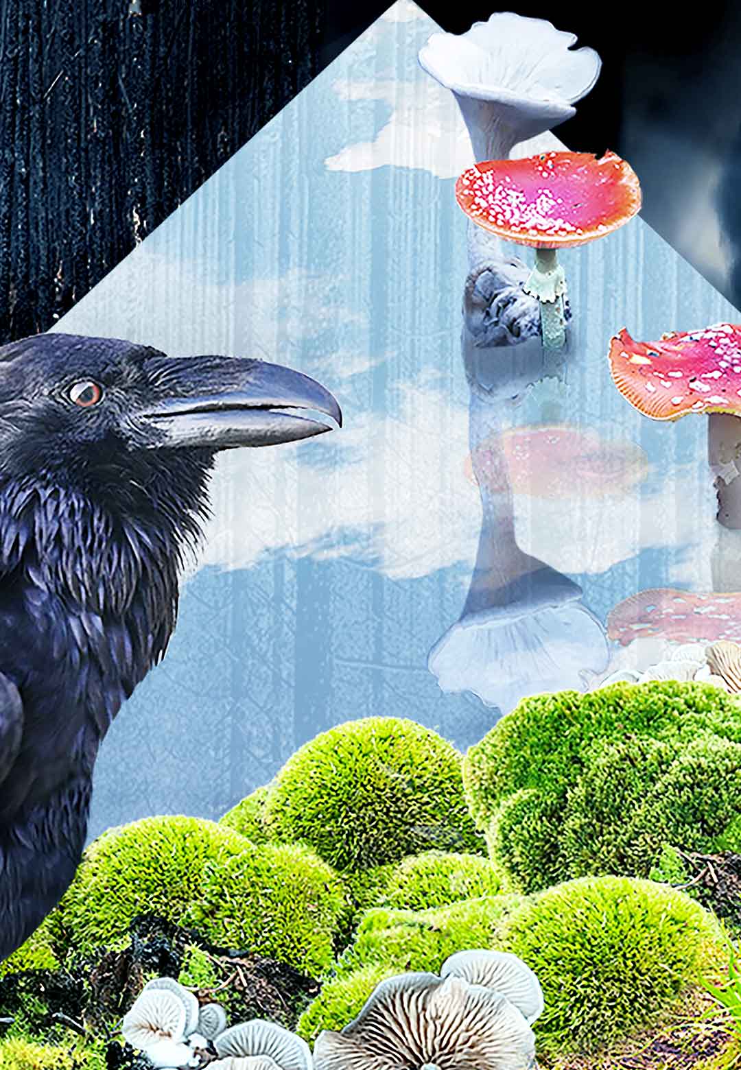 Superflux presents &lsquo;Subject To Change&rsquo; at Droog Gallery