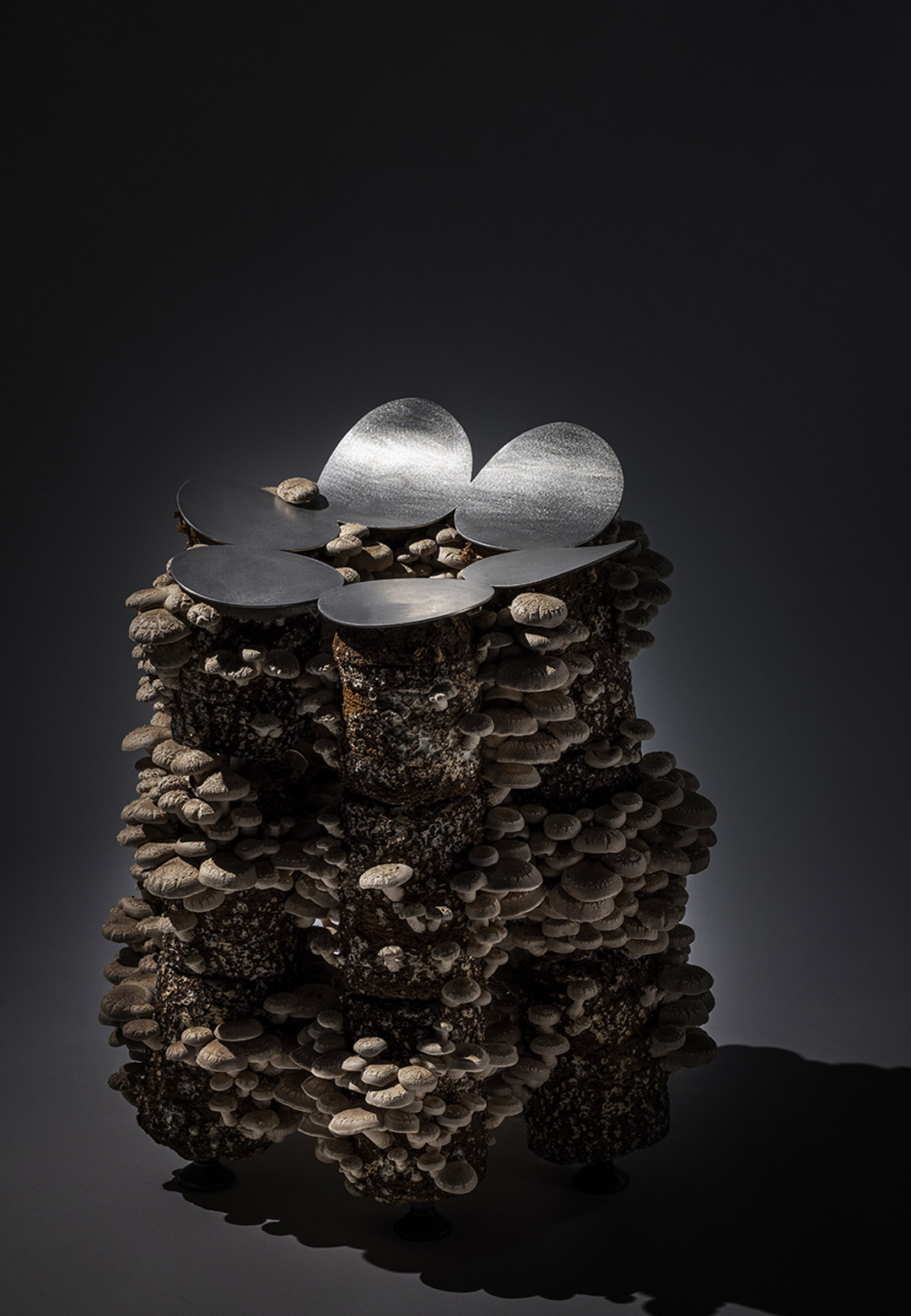 Satoshi Itasaka stacks mushrooms to build organic stools