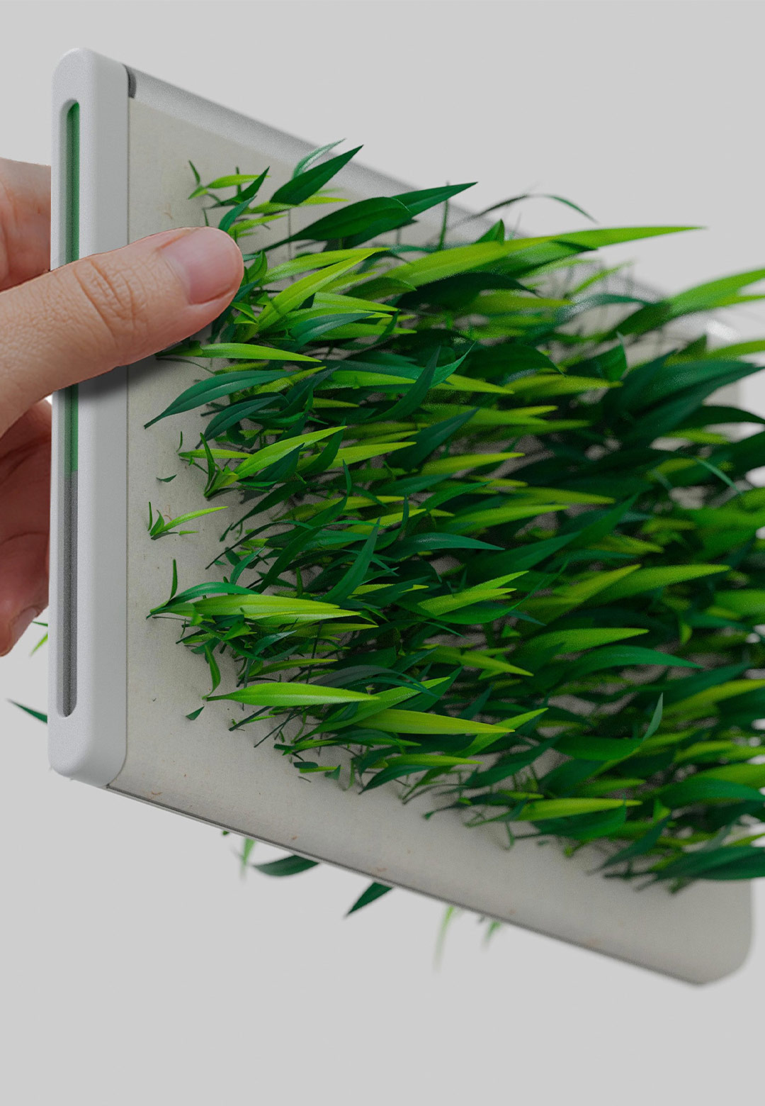 &lsquo;Square Greens&rsquo; by SEVE makes growing food in kitchens sustainable and effortless