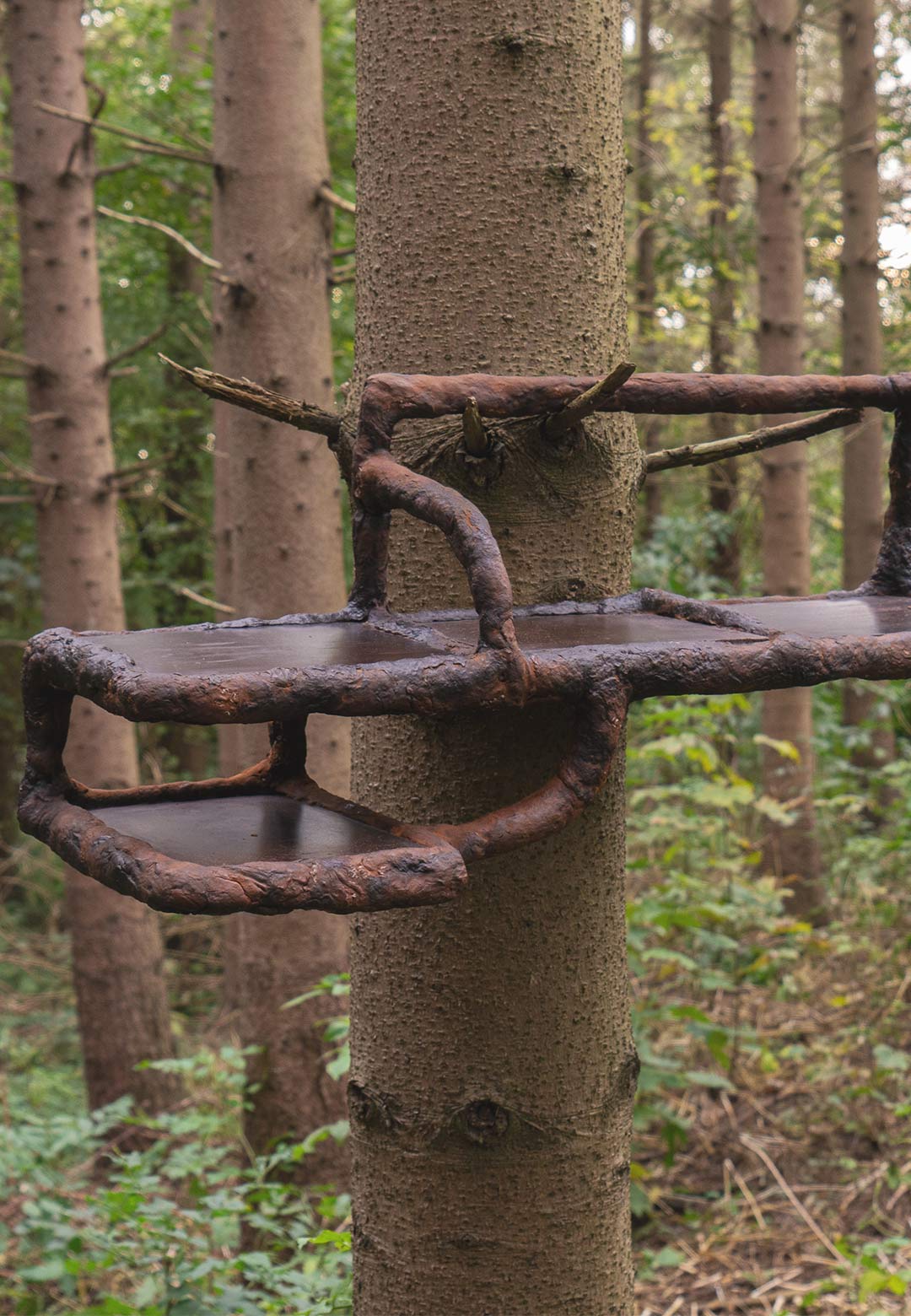 Basse Stittgen&rsquo;s &lsquo;Tree-ism&rsquo; crafts a reverent dialogue between nature and design