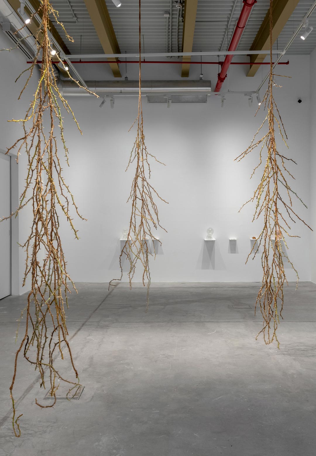 Nika Neelova stages a tryst of geology and art at the NIKA Project Space with &lsquo;Beghost&rsquo;