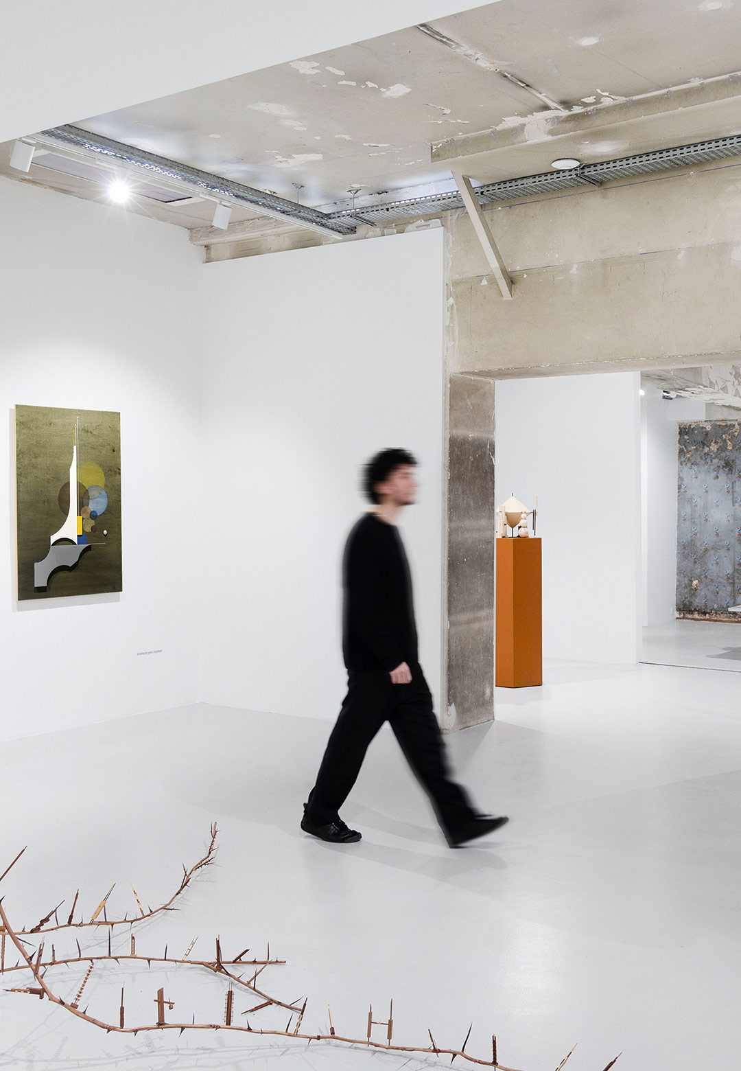 Carlos Garaicoa highlights tensions between culture and nature with 'La Secci&oacute;n &aacute;urea'