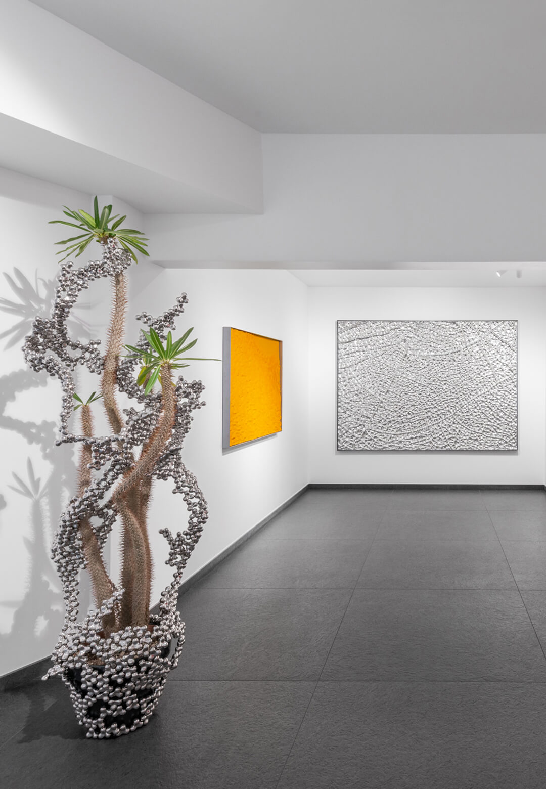 Loris Cecchini delves into the Shapeshifting relationships between nature and science